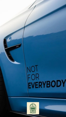 #ad Not for Everybody Car Sticker Universal Fit Vinyl Decal $25.00