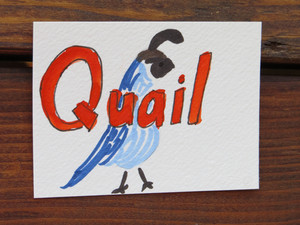 ACEO Original Handlettered Quail Design 1 by CactusMoonDesign