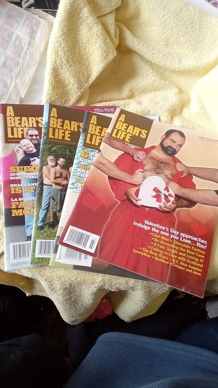 4 Issues Of A Bears Life Gay Related Material