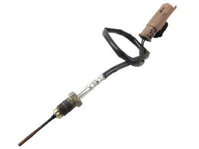 Citroen C4 II NC Abgastemperatursensor 9665090280