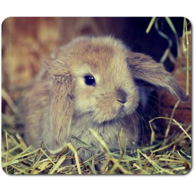 Rectangle Mouse Mat Cute Baby Bunny Rabbit Pet Animal #44752