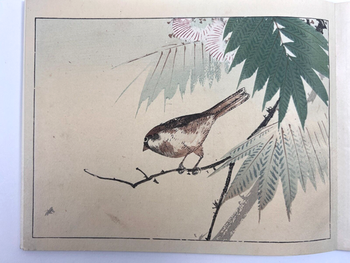 Japanese Woodblock Print Book “Seitei Kachocho” Watanabe Seitei 12 Illustrations - Picture 5 of 19
