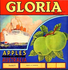 GLORIA - Brand  Apples Original Fruit Crate Label Blackout Tasmania, Australia