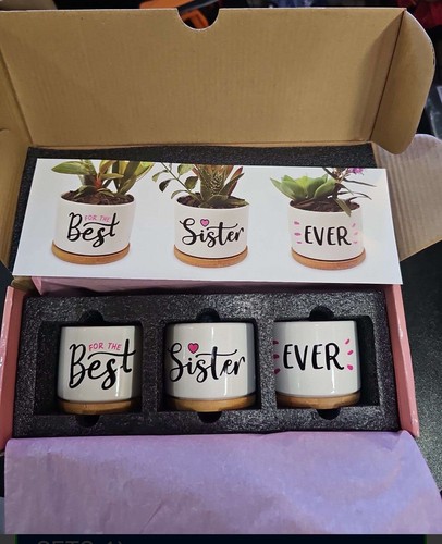 3 Stück Beste Schwester aller Zeiten Keramik Übertopf Töpfe Pflanze Geschenkset Halter Neu - Bild 7 von 8