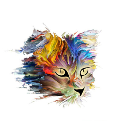 DTF Color Bügeltransfer Bügelbild Applikation Katze Gesicht bunt für alle Stoffe