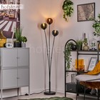 Foto 7 di 10