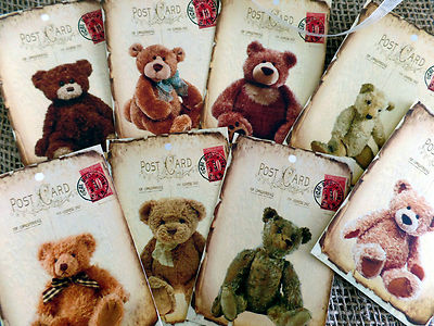 osito teddy atc