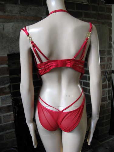Ann Summers Sexy Red Lace Backless Body Bodice One Piece Size 18 D DD 44 D-E - Picture 5 of 9