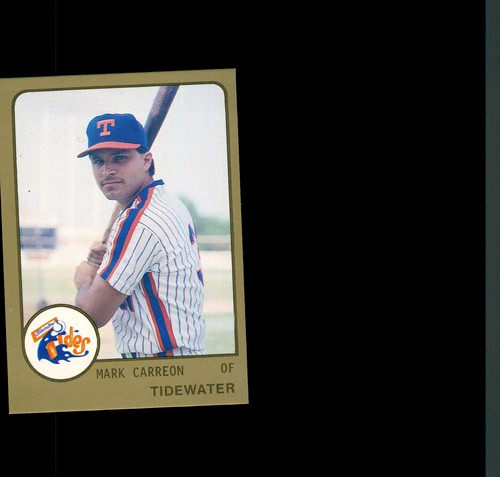 1988 ProCards Tidewater Tides - You Pick 1 - Minor League AAA New York Mets - Picture 26 of 57
