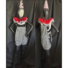 One of a Kind Cosplay Clown-Woman  s COSTUME - Medium