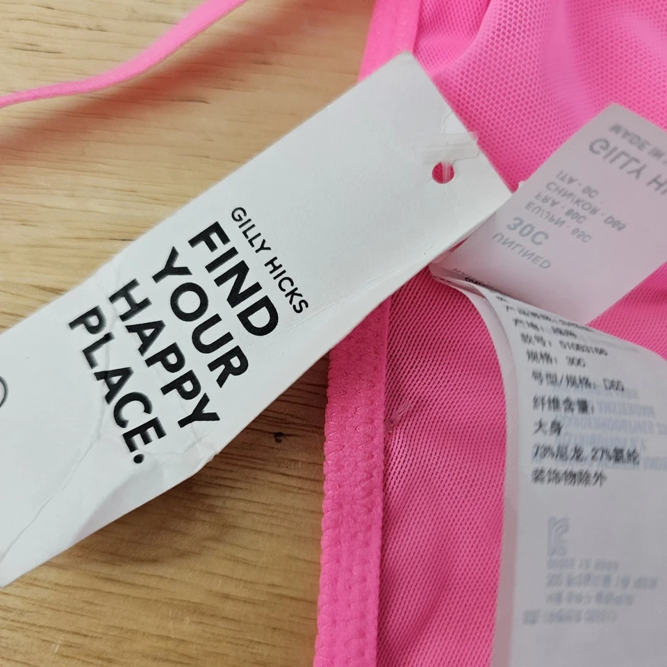 Gilly Hicks 全新带标签粉色网眼钢圈半透明文胸 30C — 第 3/4 张图片