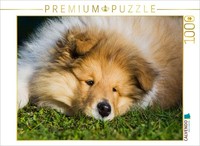 Calvendo Puzzle An Adorable Collie Puppy | 1000 Pieces, Finished Size 25.2 × 18.