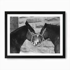 Untitled Photo, Possibly Related To Framed Wall Art Poster Canvas Print Picture