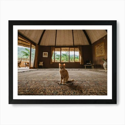 Katze im Zimmer 1 Kunstdruck gerahmt Wandbild Poster Leinwanddruck Bild