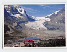 Postcard Athabasca Glacier Canadian Rockies Jasper National Park Canada