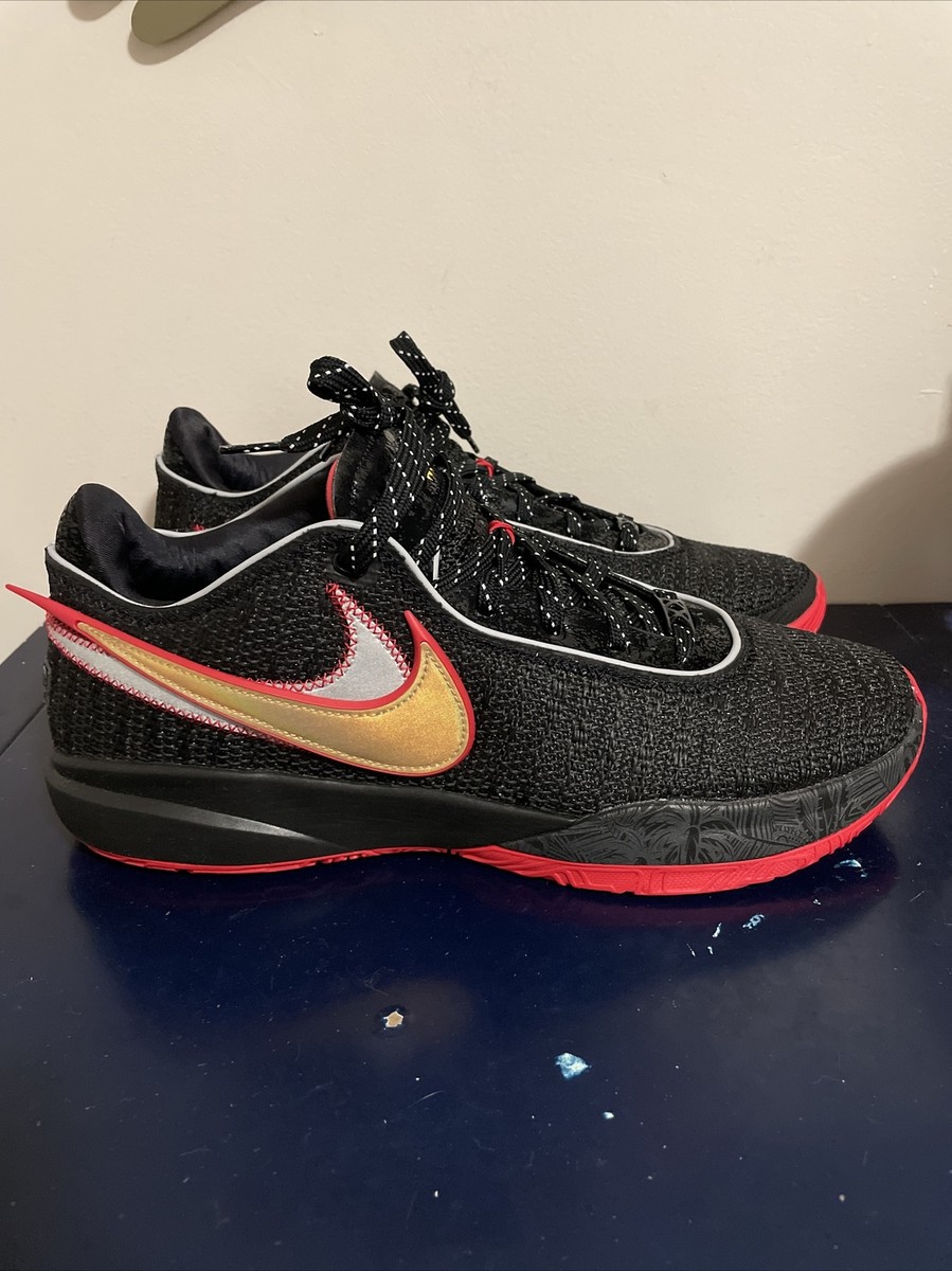 シューズ(男性用) NIKE LeBron20 Nike LEBRON 20 XX Men's Size 7.5 Basketball Shoes 