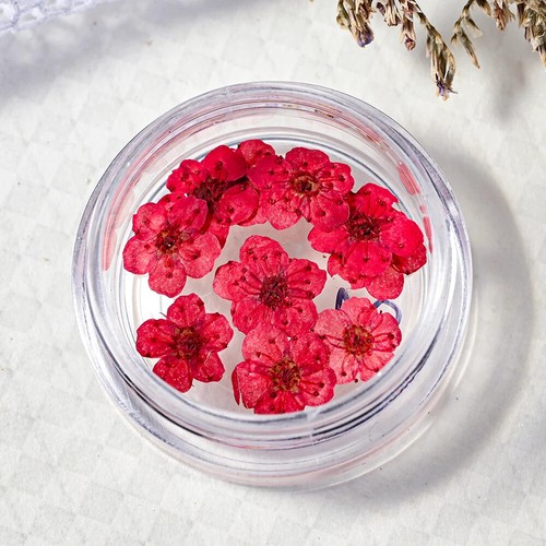 12Grid/box Real Natural Dried Flowers Nail Decor (1-3Pcs) Mixed Manicure Flowers - Bild 36 von 44