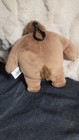Bild 4 von 5