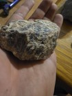 Petrified Wood 154g — photo 3