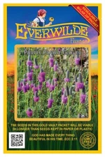 2000 Purple Prairie Clover Wildflower Seeds - Everwilde Farms Mylar Seed Packet
