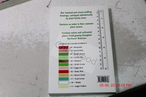 Taylor's Seedling Drawings : A Catalog of Cotyledons, Paperback by Taylor, Th... - Imagen 4 de 4