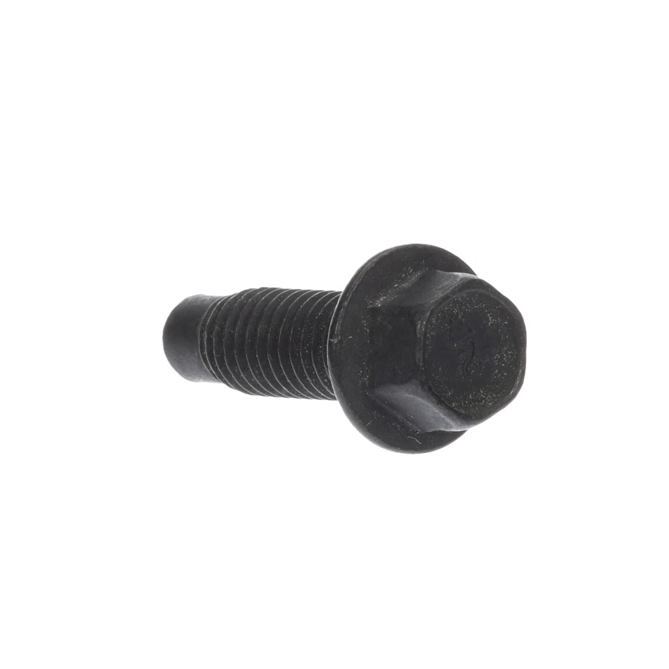 Ford Super Duty M8 X1.25X20 2005-2010 grifo de lavado hexagonal OEM NUEVO GENUINO W611635S100 Foto 2 de 3