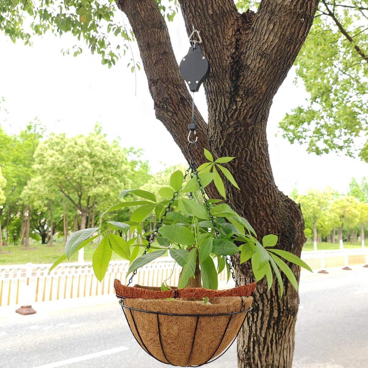 6 Pack Retractable Plant Pulley Hanger for Hanging Plants Garden Baskets  Pots | eBay