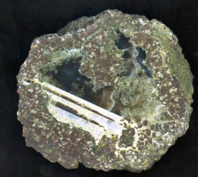 Achat/Agate Thunderegg Lucky Strike Mine, Ochoco Mountains Oregon USA - TOP !!