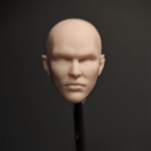 HL2084 1/12 unbemalt Nicholas Hoult männlicher Kopf Schnitzerei Modell Spielzeug - Bild 4 von 5