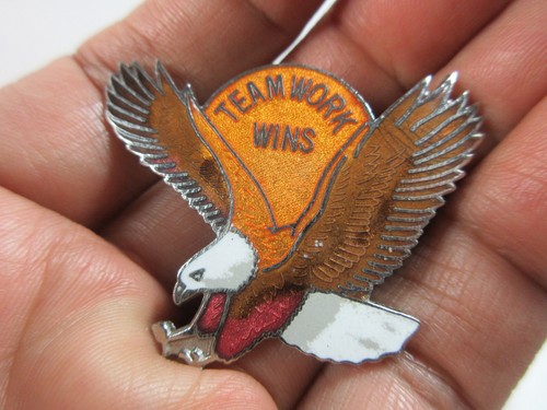 Vintage Set 2 Teamwork Working Together Teambuilding positive Stifte Adler Sonne - Bild 2 von 5