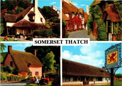 Vtg Somerset Thatch Multiview Luccombe Selworthy Dunster Bossington Postcard
