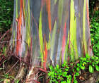 Bild 6 von 24