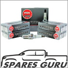 <!--F#f_0-->8 x NGK TR6 V Power Spark Plugs Commodore HSV LS1 LS2 L98 GEN 3 Cammed or Turbo<!--F/-->