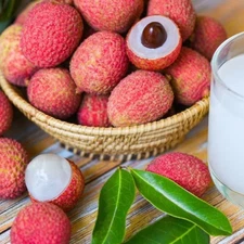 10 Lychee Seeds – Tropical Fruit Tree with Sweet Juicy Flesh for Home Growing