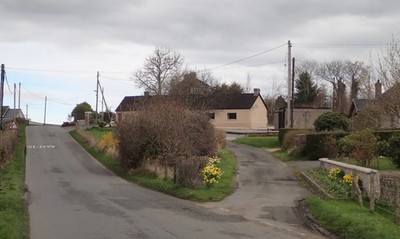 Foto 6x4 Derryanvil Road Portadown Die Narzissen blühten möglicherweise um 2017