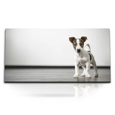 Quadri stampa artistica 120x80 cm cucciolo piccolo cane Jack Russell cane bambino