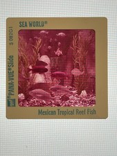 Vintage 1976 SEA WORLD Pana Vue 35mm Slide - Mexican Tropical Reef Fish