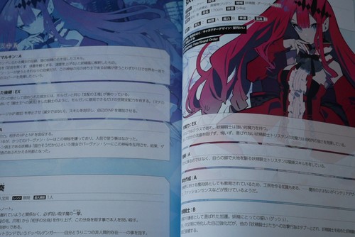 Type-Moon: Fate/Grand Order Material XIII (libro FGO) - dal GIAPPONESE - Foto 8 di 21