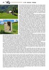 Bild 12 von 13