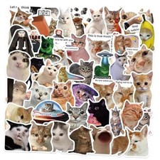 Funny Meme Stickers, 50Pcs Cute Stickers for Teens Adults. Cat