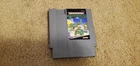 Teenage Mutant Ninja Turtles (Nintendo NES, 1989)