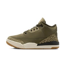Little Kid's Jordan 3 Retro Medium Olive/Sequoia DM0966 202 