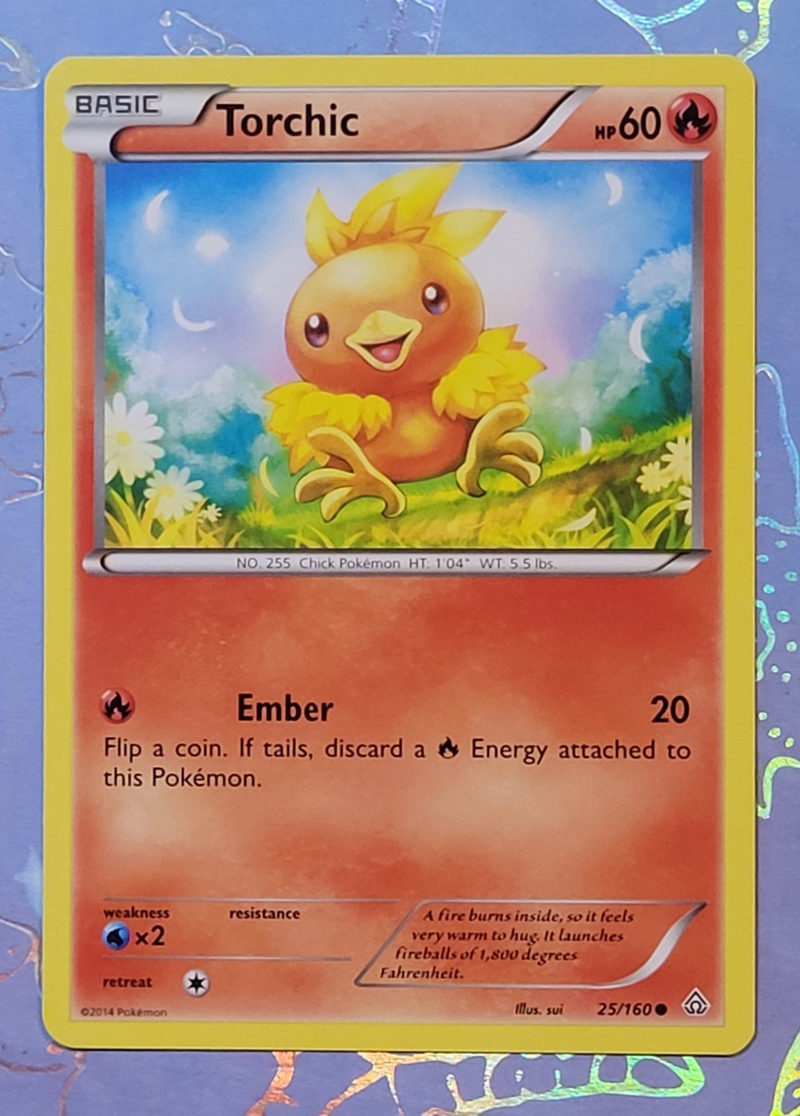 Torchic 25/160 Common XY Primal Clash Pokemon Card NM
