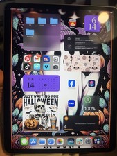 Apple iPad Pro (1st Generation) 11 in - 12.9 in Screen 256 GB