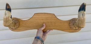 Vintage Deer Taxidermy Rifle Rack/Purse/Necklace Hanger
