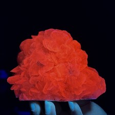 1.65LB Natural Rose Petal Calcite Mineral Specimen/Fluorescent Glow Under UV Lig