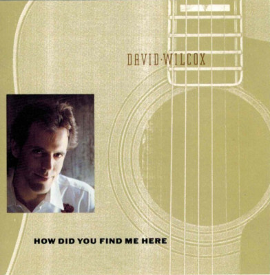 DAVID WILCOX - How Did You Find Me Here (CD 1989)