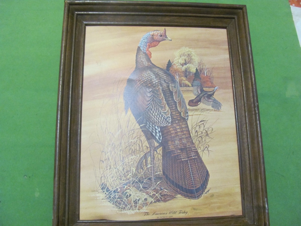 THE AMERICAN WILD TURKEY PICTURE BY ROBERT NIPP WIT PICTURE FRAME