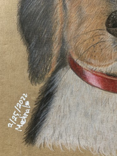 Puppy Beagle Cute Drawing Colored Pencil - Picture 7 of 7