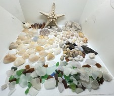 Mixed Seashell Sea Glass Coral Rocks Ocean Beach Aquarium Crafts Collection 06